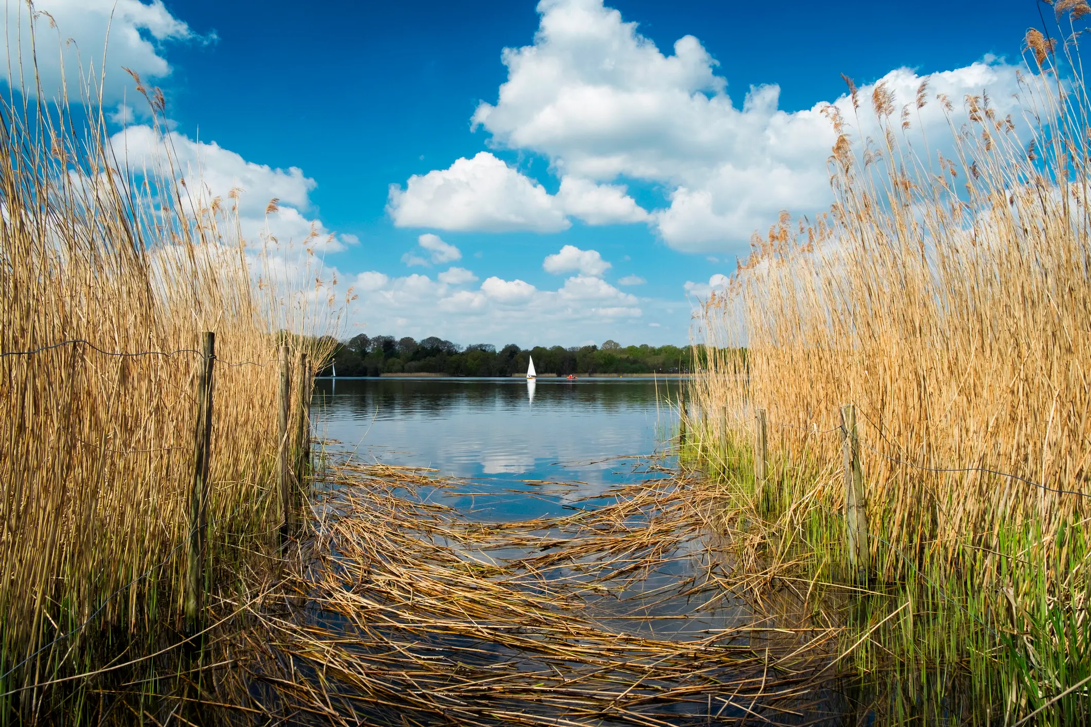 Opinion: Building for tomorrow's water security